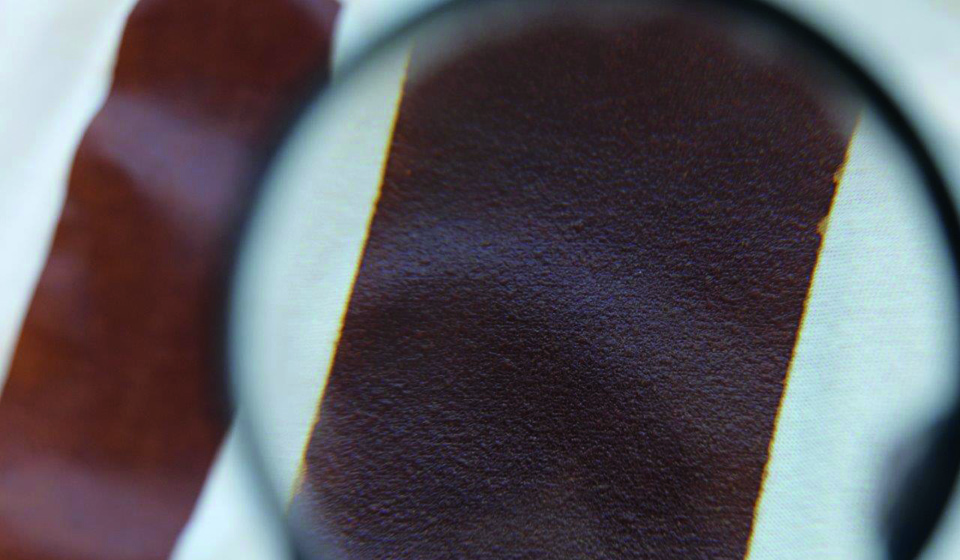 Celulose Bacteriana: Uma nova abordagem sustentável para a indústria têxtil